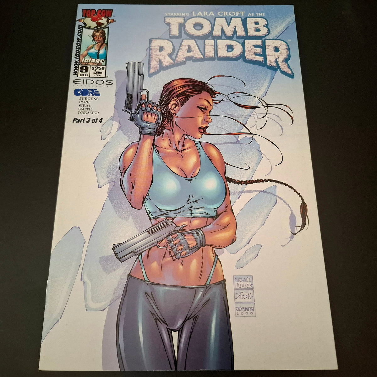 Tomb Raider #9 variant cover