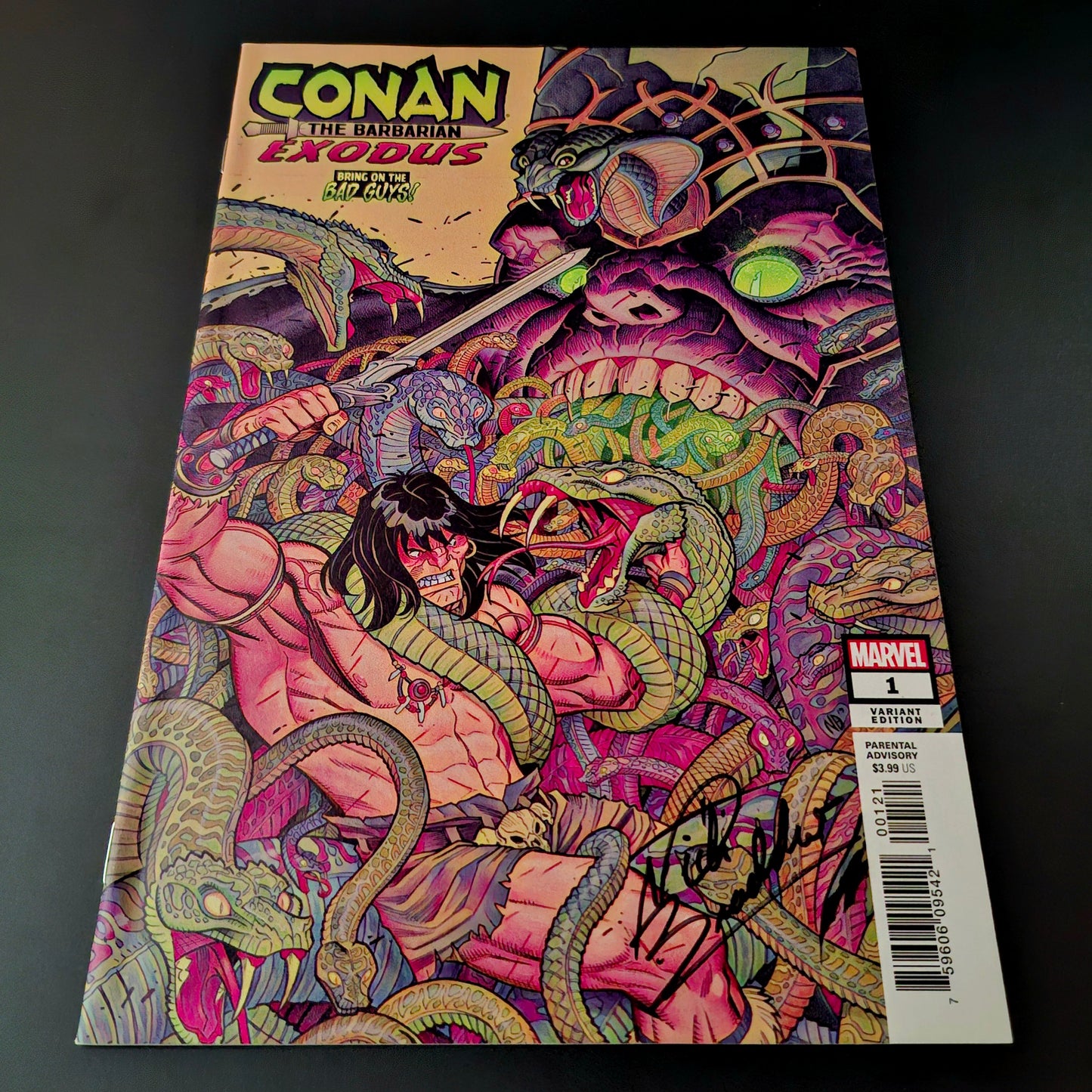 Conan the Barbarian : Exodus #1 variant cover + Signature de Nick Bradshaw (COA)